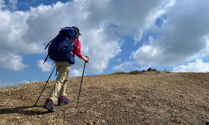 Merino-Hike Wrightsock