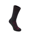 Grey Fuchsia