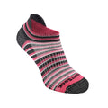 Fuchsia Black Stripes